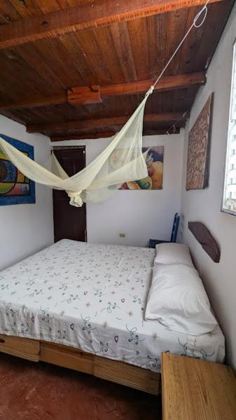 Hostel La Ballena Backpacker 拉斯加勒拉斯 外观 照片