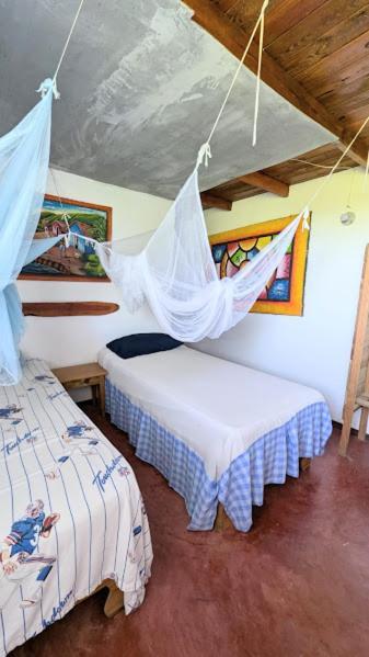 Hostel La Ballena Backpacker 拉斯加勒拉斯 外观 照片